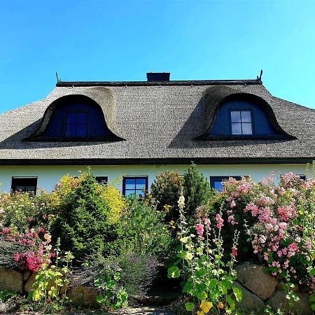 Insel Landhaus Bernstein Villa Gager Esterno foto