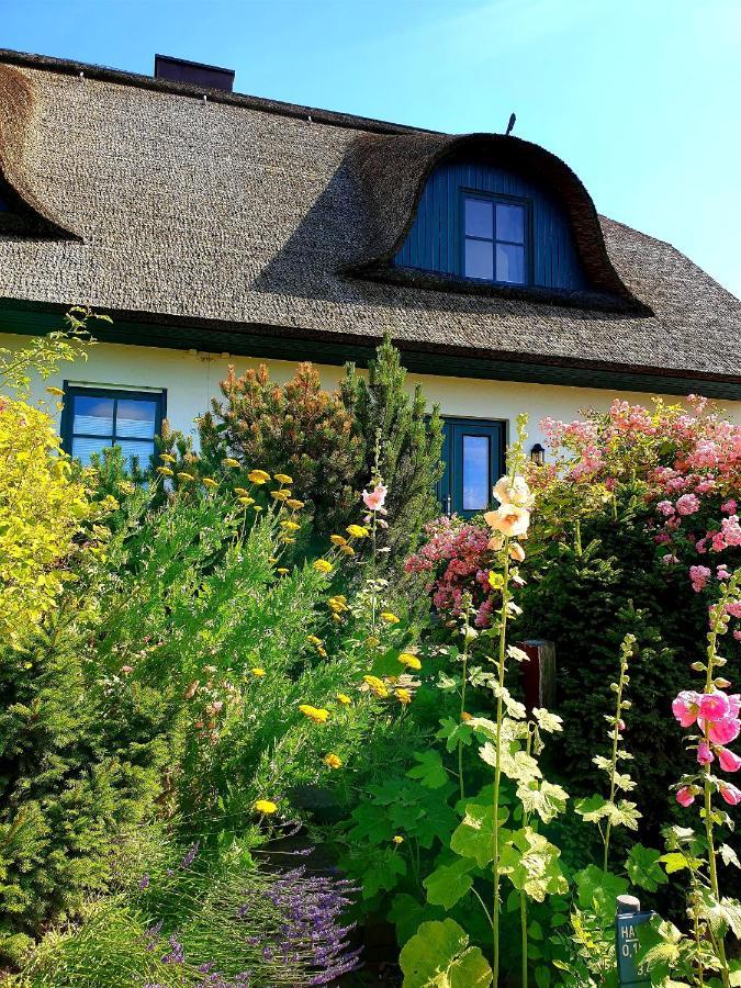 Insel Landhaus Bernstein Villa Gager Esterno foto